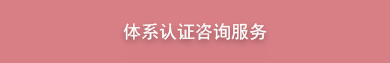 体系认证咨询服务