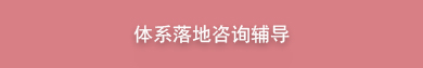 体系落地咨询辅导