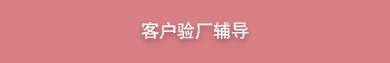 客户验厂辅导