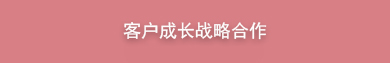 客户成长战略合作